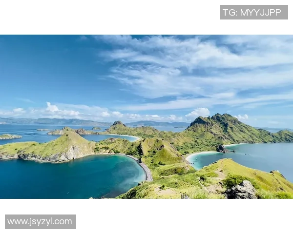 小球旅游计划引发热议科莫创意是创新之举还是自我毁灭的开始